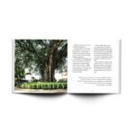 Diffusing Dignity: A Collection of Meditations - Image 4